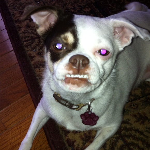 raydawg