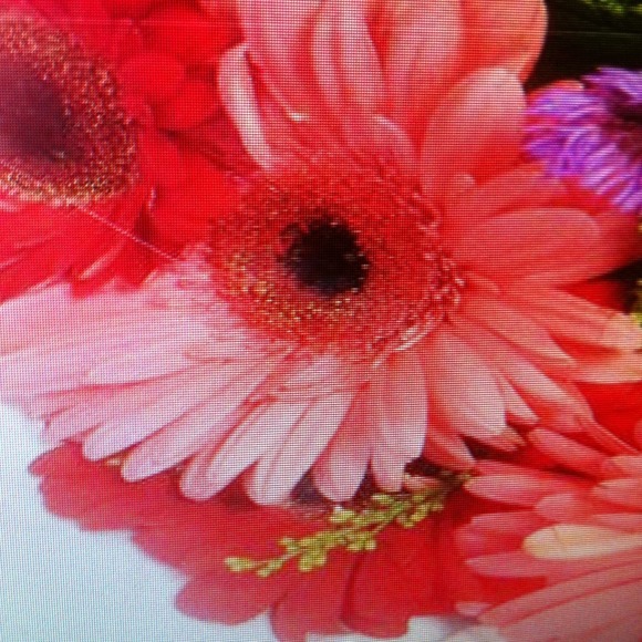 hddesign