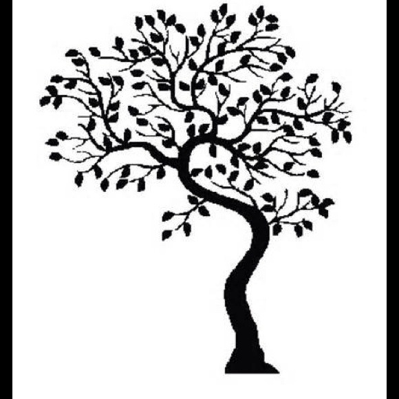 cedarglass