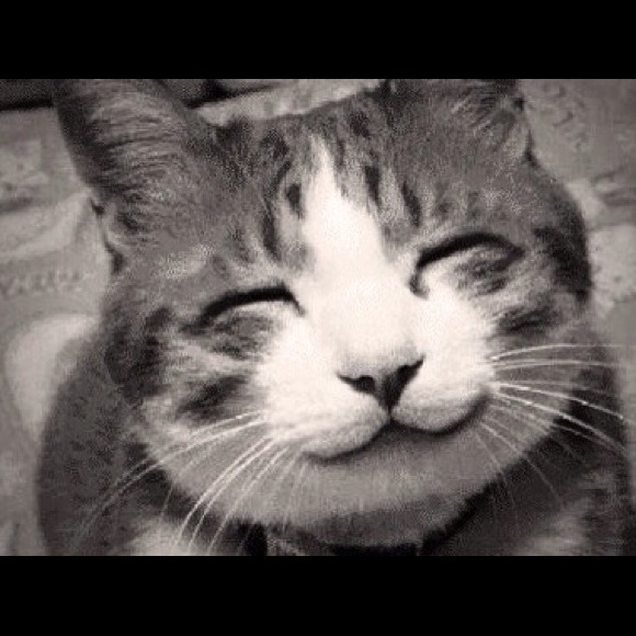 sayda1_
