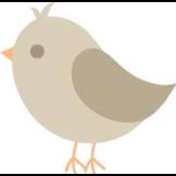 songbirdsusie