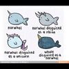 ilikenarwals