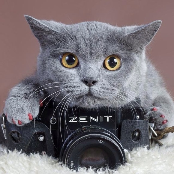 Poshmark profile picture for @wahoo