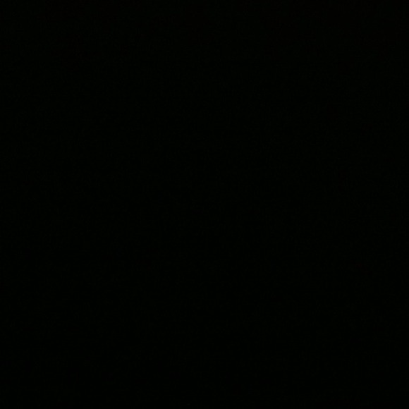 flensixj