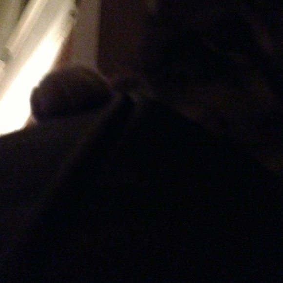 chassitybraud