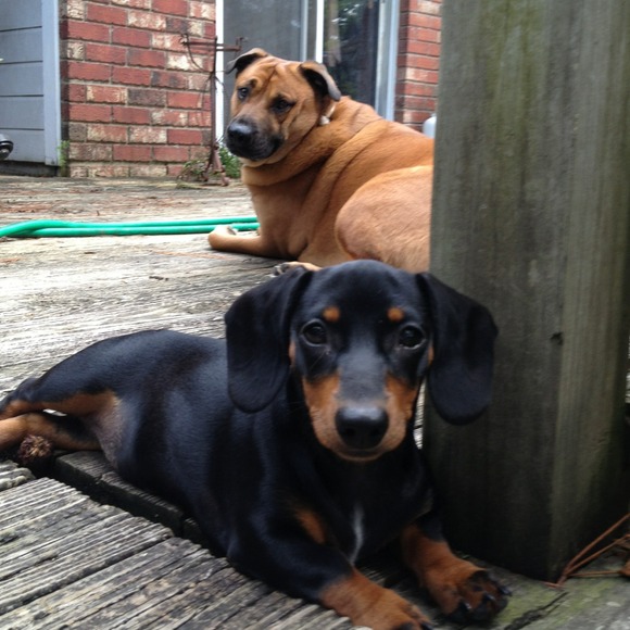 linnie1addie2