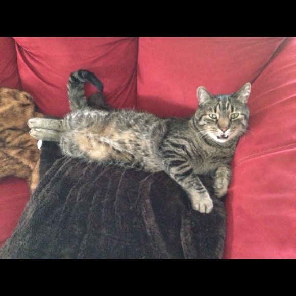 glitermause