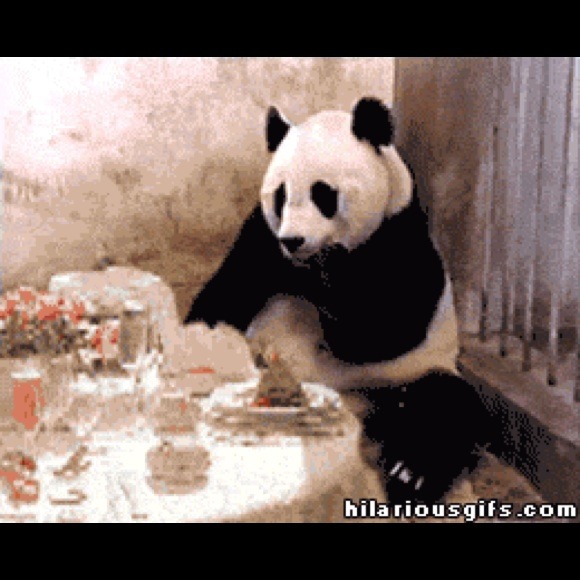 pandabitsh
