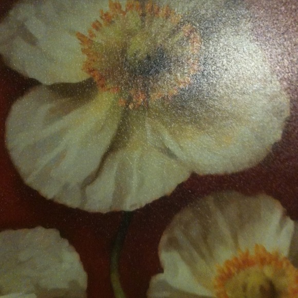ajohnson5