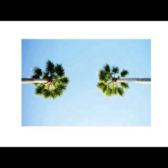 oceaunvibes