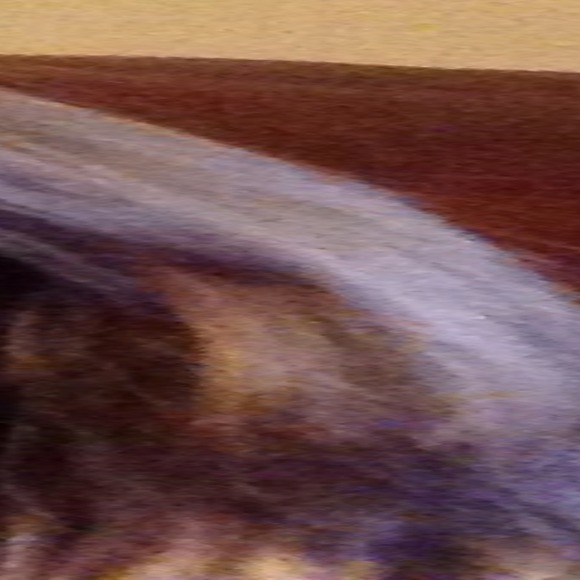 shanap73