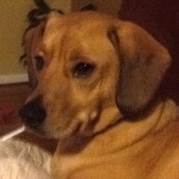 mltupper