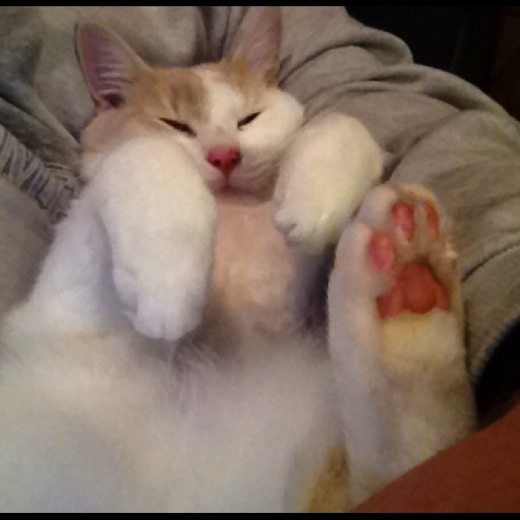skippyster