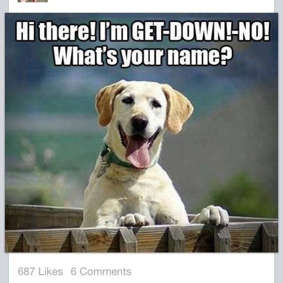 duncandoo