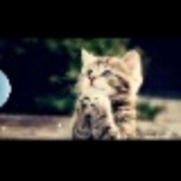 kats_bubbles