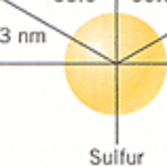 sblume65