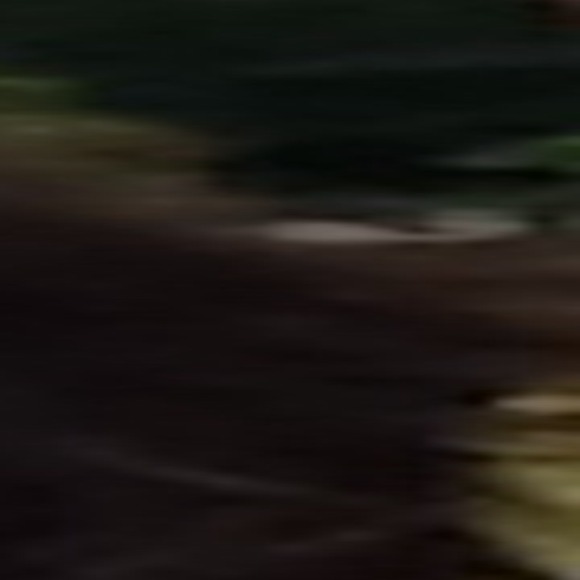 mannelm2