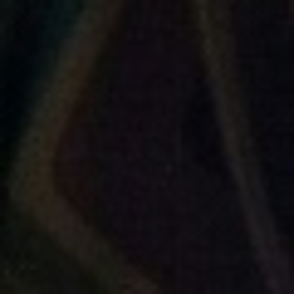nshsvbs