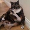 wagdaddy