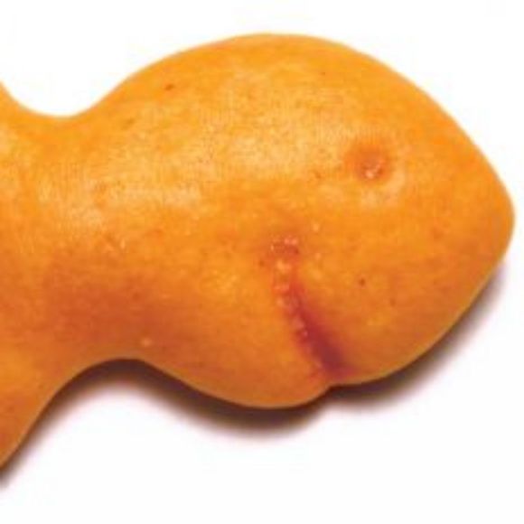 joolsaz