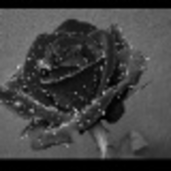 syardust