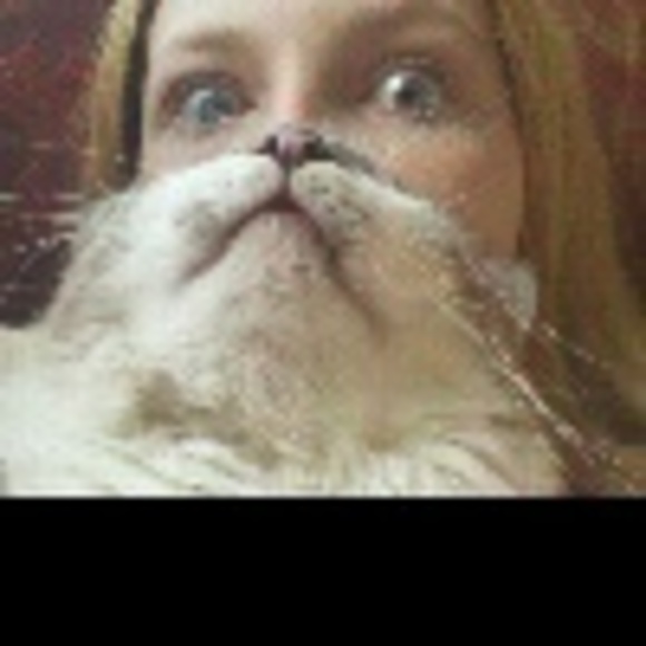 cat_magnet