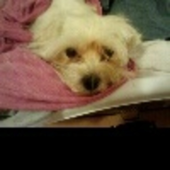girlygirl0845