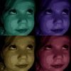 hannwalsh
