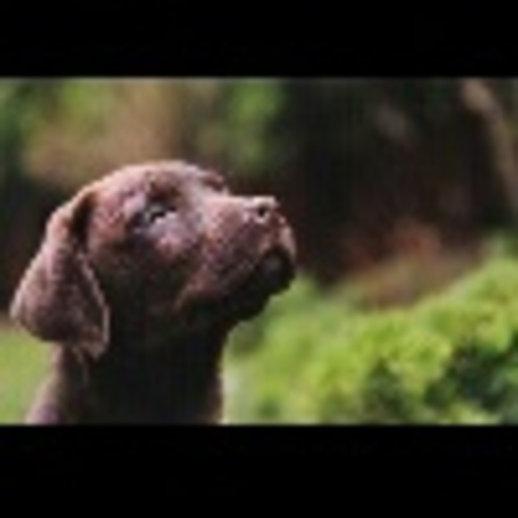 rescue_589