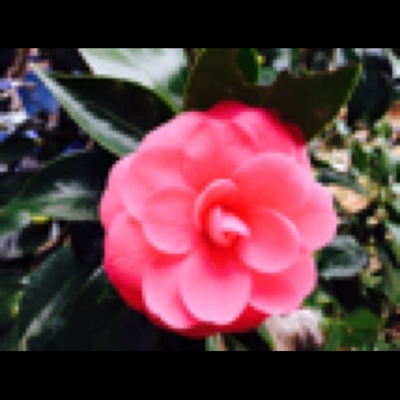 mayralover