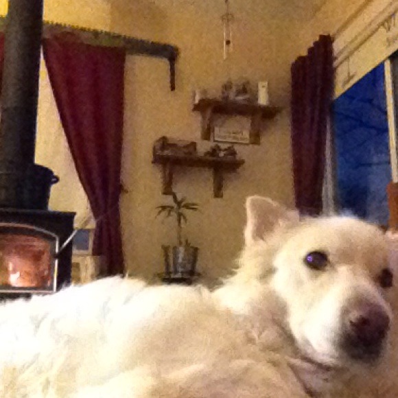gypsy09