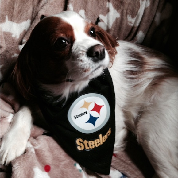 steelersgirl570