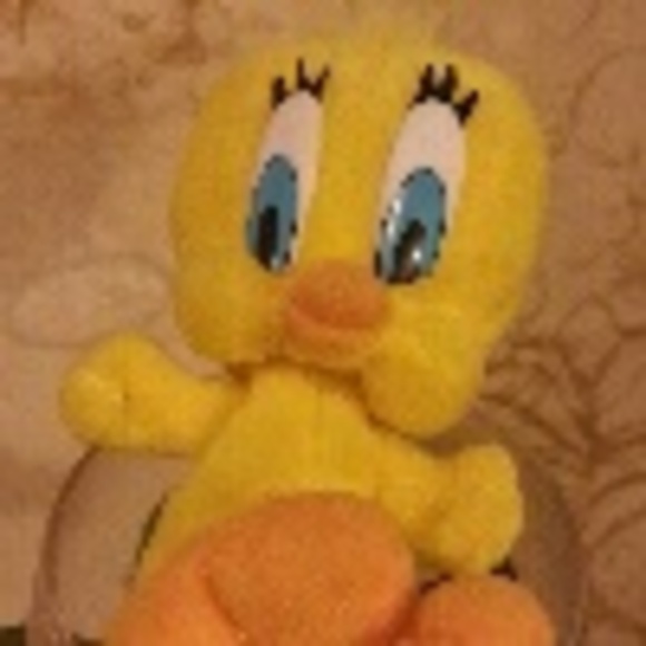 tweetybirdvan7