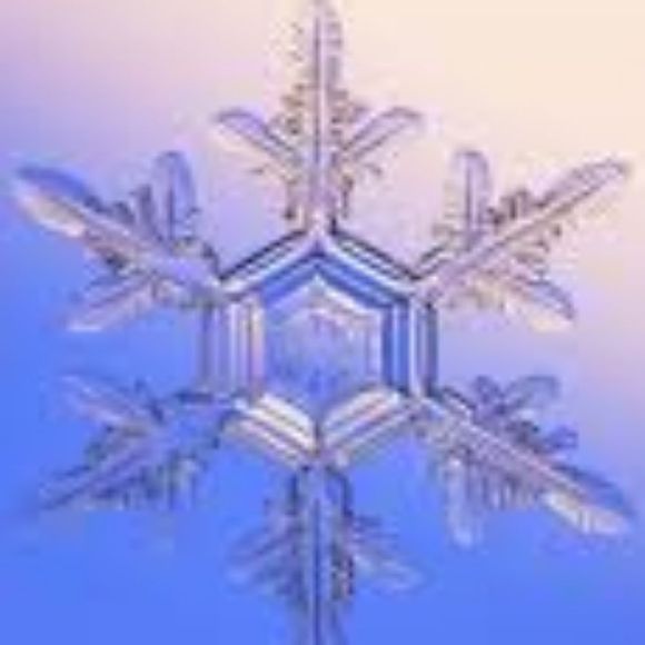 Poshmark profile picture for @snowstorm