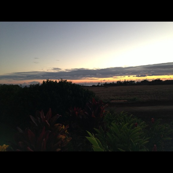 hawaiima