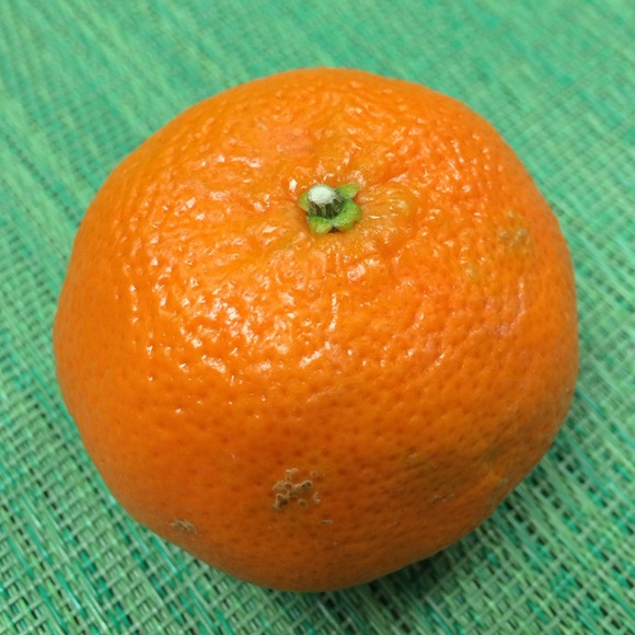 lwmoss