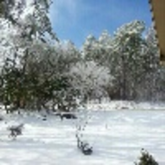 mtgibson0729