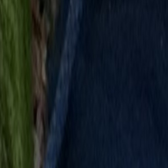 nlzbnivval