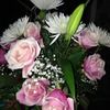 angelalee82