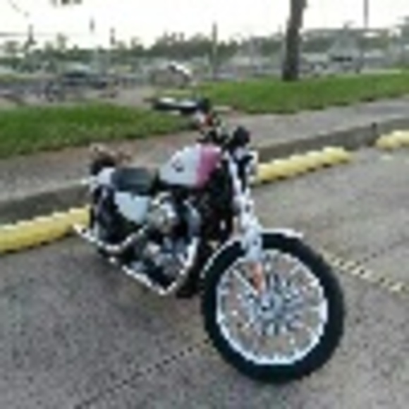 harley883