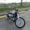harley883