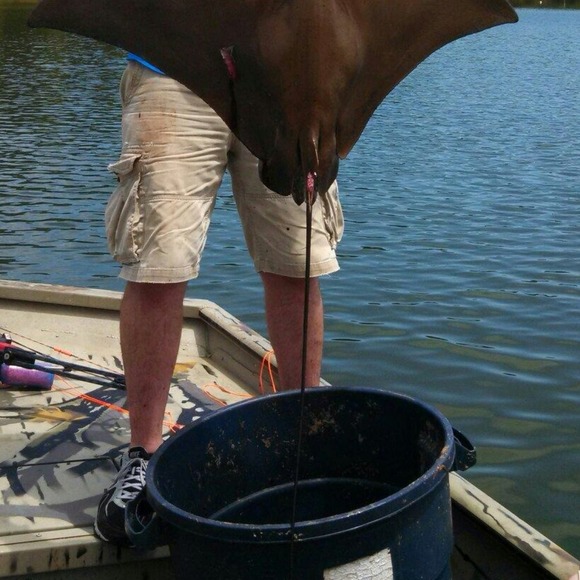 gillshooter08