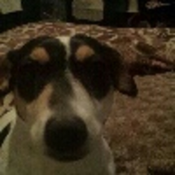 Poshmark profile picture for @tangible