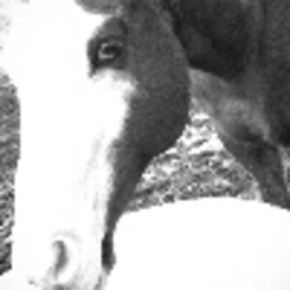 ashlaw08