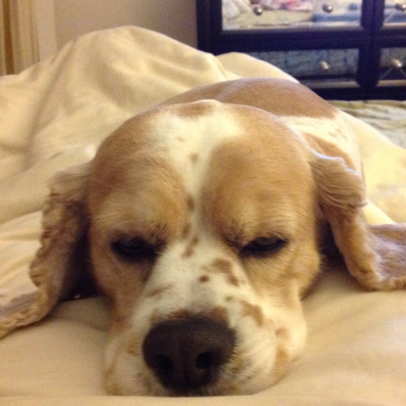 dupey