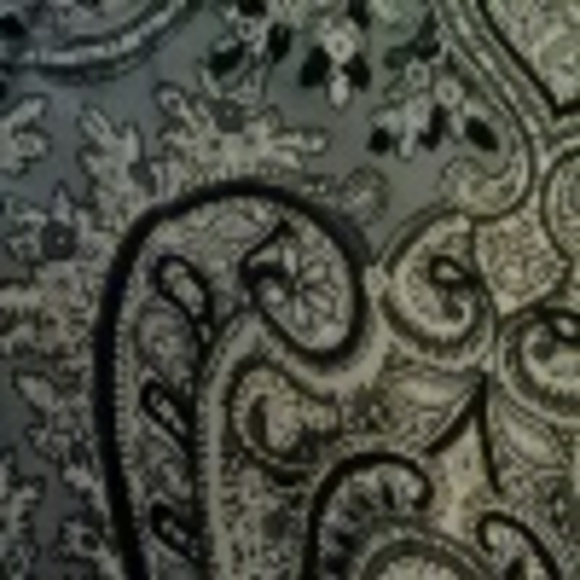 southern_gal