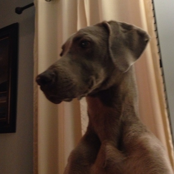 zeida