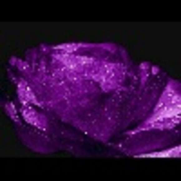 purple_fancy