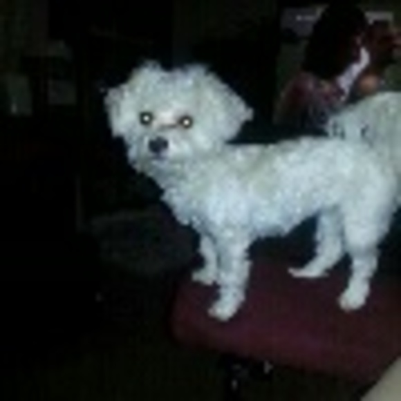 lannn
