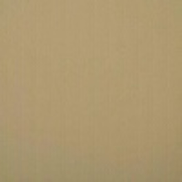 Poshmark profile picture for @testicular